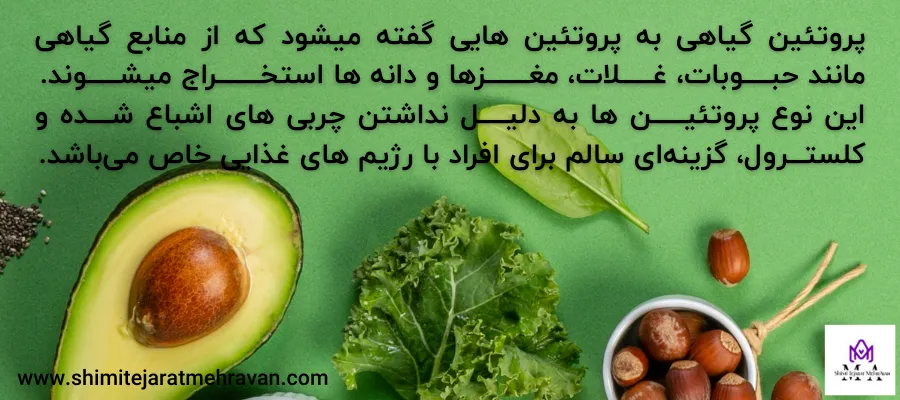 انواع پروتئین گیاهی