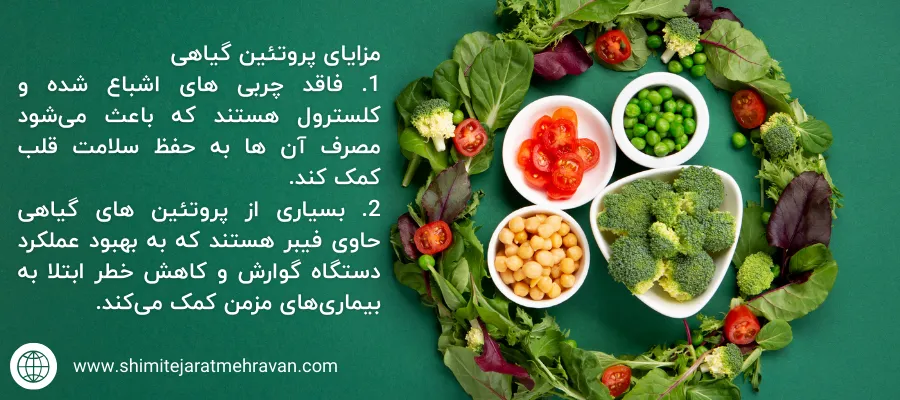 مزایای پروتئین گیاهی