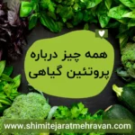 همه چیز درباره پروتئین گیاهی