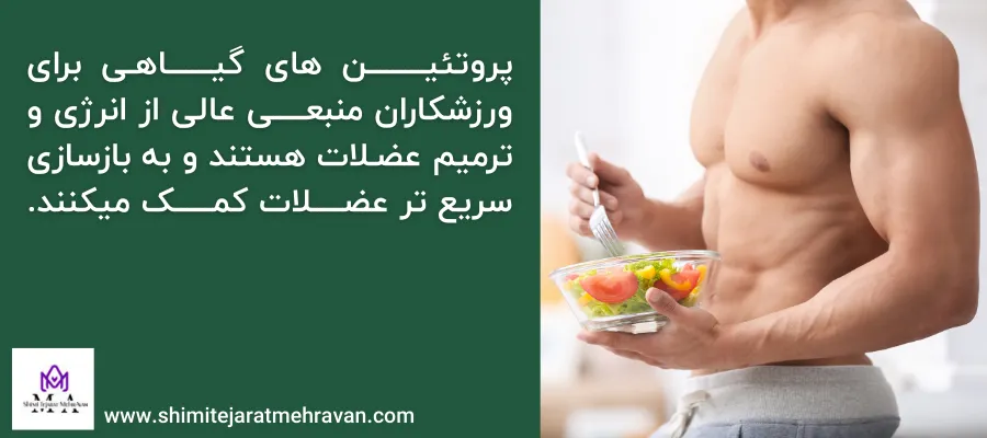 پروتئین گیاهی برای ورزشکاران