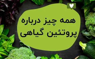 همه چیز درباره پروتئین گیاهی